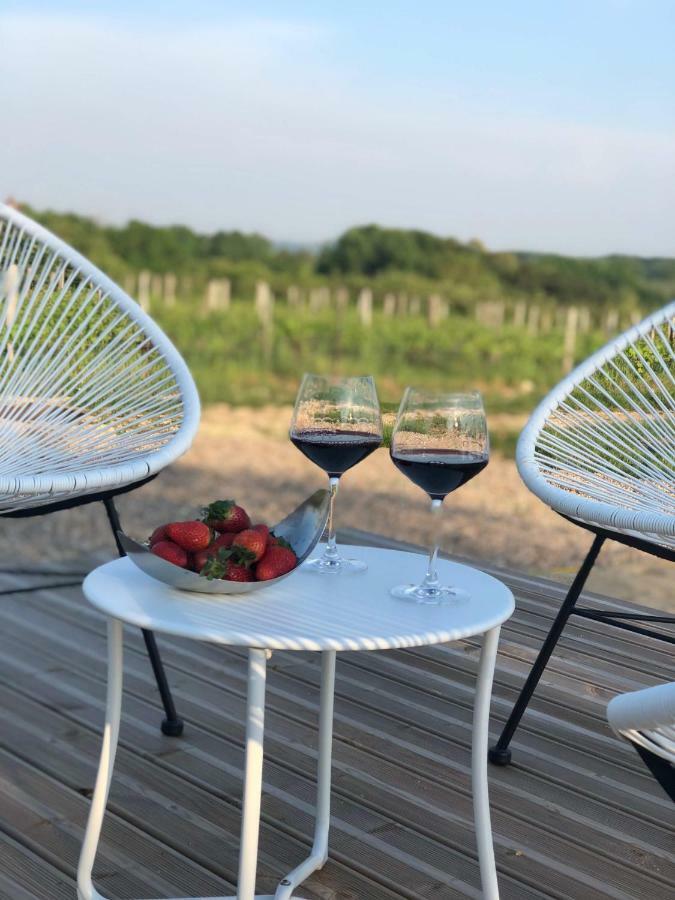 Chez Henri Bed & Breakfast Belves-de-Castillon Bagian luar foto