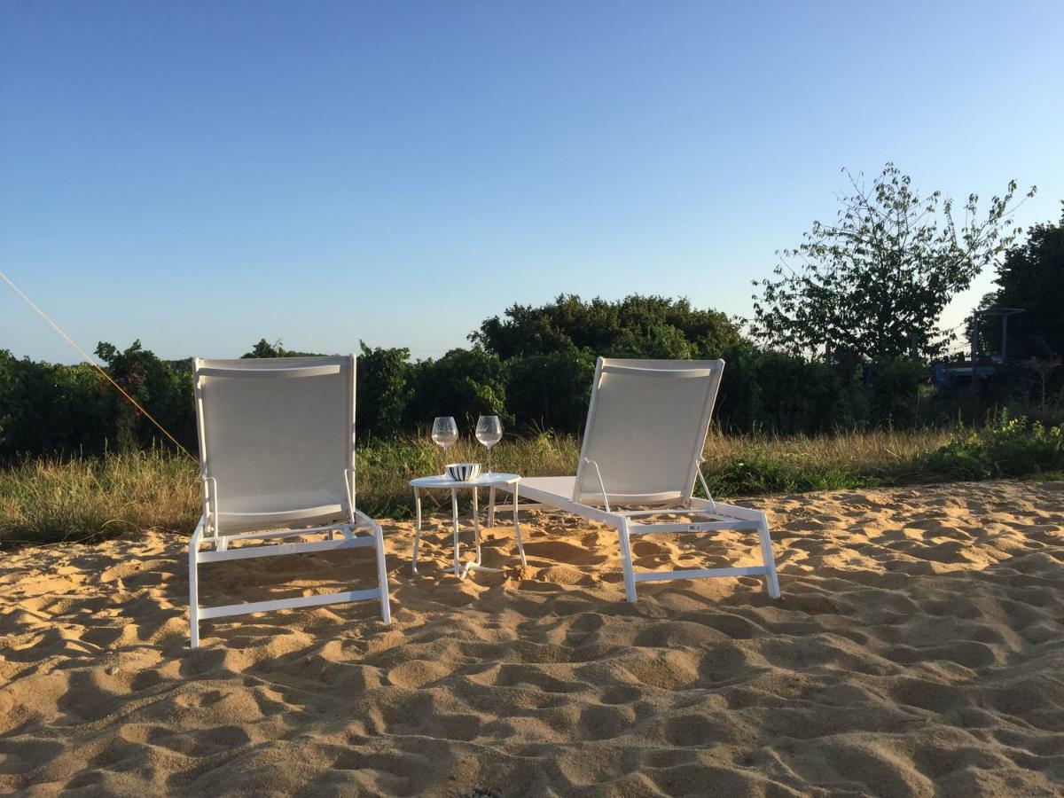 Chez Henri Bed & Breakfast Belves-de-Castillon Bagian luar foto